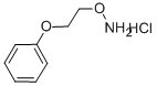 1-[2-(AMMONIOOXY)ETHOXY]BENZENE CHLORIDE