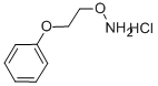 1-[2-(アミノオキシ)エトキシ]ベンゼン塩酸塩 化学構造式
