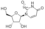 URIDINE-2-14C Struktur
