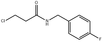 3-CHLORO-N-(4-FLUORO-BENZYL)-PROPIONAMIDE Struktur