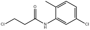 3-chloro-N-(5-chloro-2-methylphenyl)propanamide|