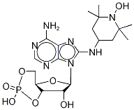8-TEMPO-aminoadenosine Cyclic 3’5’Monophosphate, 54606-91-6, 结构式