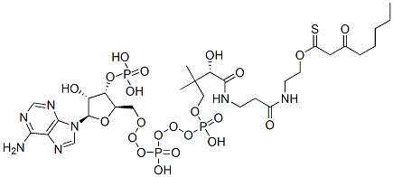 S-[2-[3-[[4-[[[(2R,3S,4R,5R)-5-(6-aminopurin-9-yl)-4-hydroxy-3-phosphonooxyoxolan-2-yl]methoxy-hydroxyphosphoryl]oxy-hydroxyphosphoryl]oxy-2-hydroxy-3,3-dimethylbutanoyl]amino]propanoylamino]ethyl] 3-oxooctanethioate Struktur