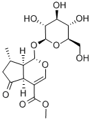 548-37-8 马鞭草苷