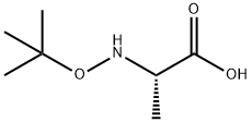 Alanine, N-(1,1-dimethylethoxy)- (9CI),54837-13-7,结构式