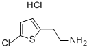 2-(5-CHLOROTHIOPHEN-2-YL)ETHANAMINE HYDROCHLORIDE Structure