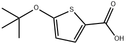 5-tert-Butoxythiophene-2-carboxylic acid, 54889-42-8, 结构式