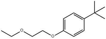 1-tert-Butyl-4-(2-ethoxyethoxy)benzene 结构式
