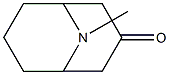 9-Methyl-9-azabicyclo[3.3.1]nonan-3-one Structure