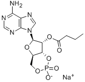 2'-O-MB-CAMP SODIUM SALT 结构式