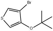4-Bromo-3-tert-butoxythiophene Structure