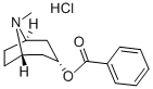 ENDO-TROPACOCAINE (8-METHYL-8-AZABICYCLO[3.2.1]OCT-3-YL) BENZOATE HCL
 Structure