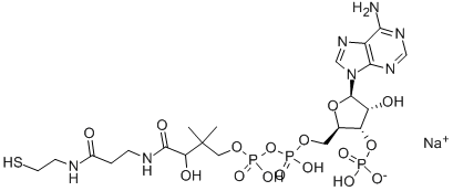 COENZYME A SODIUM SALT Struktur