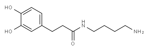 N-(4-Aminobutyl)-3-(3,4-dihydroxyphenyl)propanamide 结构式