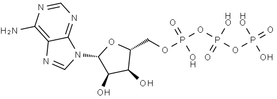 5'-三磷酸腺苷 结构式