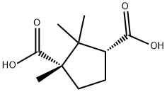 (1S,3R)-1,2,2-TRIMETHYL-1,3-CYCLOPENTANEDICARBOXYLIC ACID Struktur
