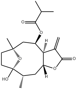 TIROTUNDIN