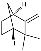 (±)-2,2-Dimethyl-3-methylenbicyclo[2.2.1]heptan