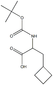 2-((TERT-ブチルトキシカルボニル)アミノ)-3-シクロブチルプロパン酸 化学構造式