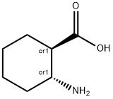 TRANS-2-AMINO-1-CYCLOHEXANECARBOXYLIC ACID Structure