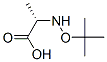 L-Alanine, N-(1,1-dimethylethoxy)- (9CI) Struktur