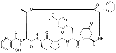 3-ヒドロキシピコリノイル-シクロ[L-Thr*-D-Abu-L-Pro-4-メチルアミノ-N-メチル-L-Phe-4-オキソ-L-Hpr-L-フェニルGly-] 化学構造式