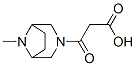 3-(Carboxyacetyl)-8-methyl-3,8-diazabicyclo[3.2.1]octane Structure