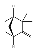 2,2-二甲基-3-亚甲基二环[2.2.1]庚烷, 5794-04-7, 结构式