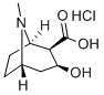 (1R,5S)-3β-ヒドロキシ-8-メチル-8-アザビシクロ[3.2.1]オクタン-2β-カルボン酸·塩酸塩 化学構造式