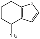 4,5,6,7-テトラヒドロ-1-ベンゾチオフェン-4-アミン 化学構造式