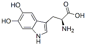 5,6-dihydroxytryptophan Structure