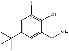 2-aminomethyl-4-t-butyl-6-iodophenol Structure