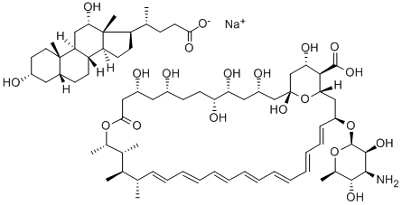 Amphotericin B-deoxycholate Struktur