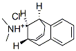 rel-(11R*)-5,6,9,10-テトラヒドロ-N,N-ジメチル-5α*,9α*-メタノベンゾシクロオクテン-11-アミン・塩酸塩 化学構造式