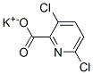 potassium 3,6-dichloropyridine-2-carboxylate Struktur