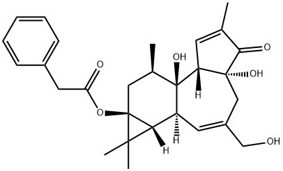 12-DEOXYPHORBOL 13-PHENYLACETATE Struktur