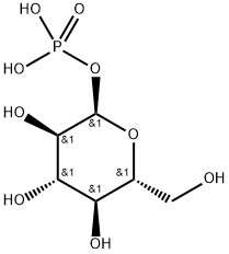 glucose 1-(dihydrogen phosphate)  Struktur