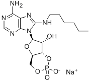 8- HEXYLAMINOADENOSINE- 3', 5'- CYCLIC MONOPHOSPHATE ( 8-HA-CAMPナトリウム塩 ) price.