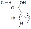 (1R)-8-methyl-8-azabicyclo[3.2.1]oct-3-ene-2-carboxylic acid hydrochloride  Structure