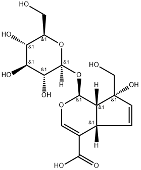 1α-(β-D-グルコピラノシルオキシ)-1,4aα,7,7aα-テトラヒドロ-7β-ヒドロキシ-7-(ヒドロキシメチル)シクロペンタ[c]ピラン-4-カルボン酸 化学構造式