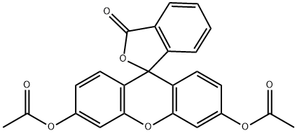 Fluorescein diacetate Struktur