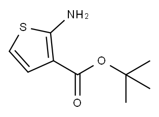 2-氨基噻吩-3-甲酸叔丁酯 结构式