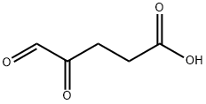 4-オキソグルタル酸セミアルデヒド 化学構造式