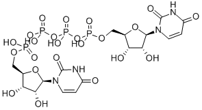 Diquafosol Structure