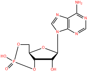 环磷腺苷,60-92-4,结构式