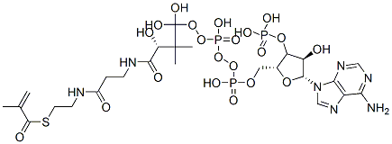 [(2R,3R,4R,5R)-5-(6-aminopurin-9-yl)-4-hydroxy-2-[[hydroxy-[hydroxy-[3-hydroxy-2,2-dimethyl-3-[2-[2-(2-methylprop-2-enoylsulfanyl)ethylcarbamoyl]ethylcarbamoyl]propoxy]phosphoryl]oxy-phosphoryl]oxymethyl]oxolan-3-yl]oxyphosphonic acid Structure