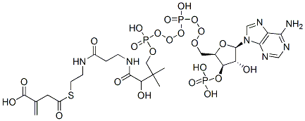 2-[2-[3-[[4-[[[(2R,3R,4R,5R)-5-(6-aminopurin-9-yl)-4-hydroxy-3-phosphonooxy-oxolan-2-yl]methoxy-hydroxy-phosphoryl]oxy-hydroxy-phosphoryl]oxy-2-hydroxy-3,3-dimethyl-butanoyl]amino]propanoylamino]ethylsulfanylcarbonylmethyl]prop-2-enoic acid Structure