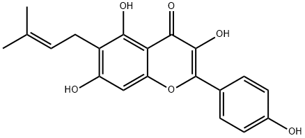 3,5,7-トリヒドロキシ-2-(4-ヒドロキシフェニル)-6-(3-メチル-2-ブテニル)-4H-1-ベンゾピラン-4-オン 化学構造式