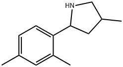 Pyrrolidine, 2-(2,4-dimethylphenyl)-4-methyl- (9CI) 结构式