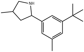 Pyrrolidine, 2-[3-(1,1-dimethylethyl)-5-methylphenyl]-4-methyl- (9CI) Structure